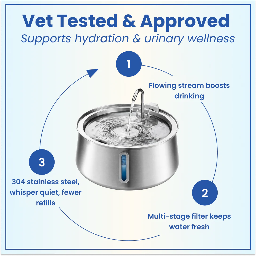 Stainless Steel Pet Fountain