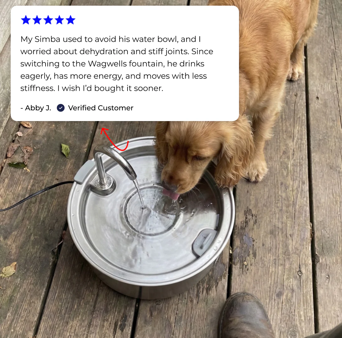 Stainless Steel Pet Fountain