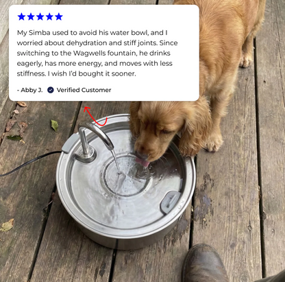 Stainless Steel Pet Fountain